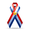 ribon icon